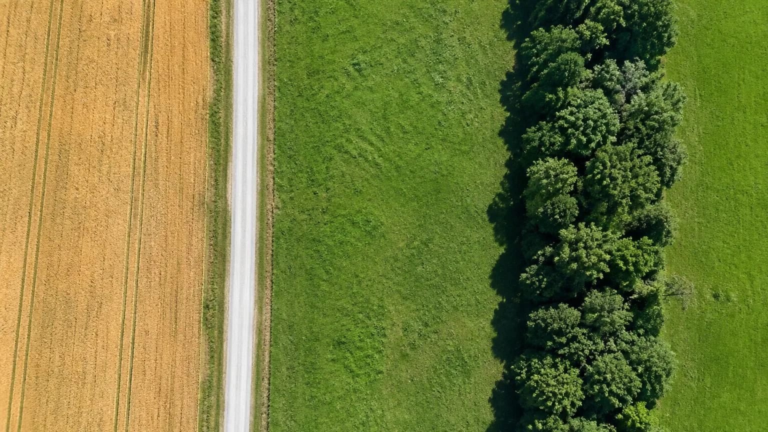 Aerial view of patchwork farmland parcels divided by a gravel country road