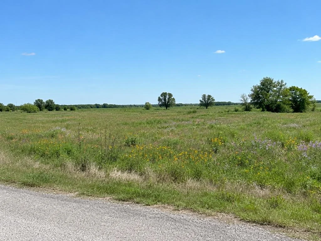Undeveloped rural parcel with wildflowers and road access